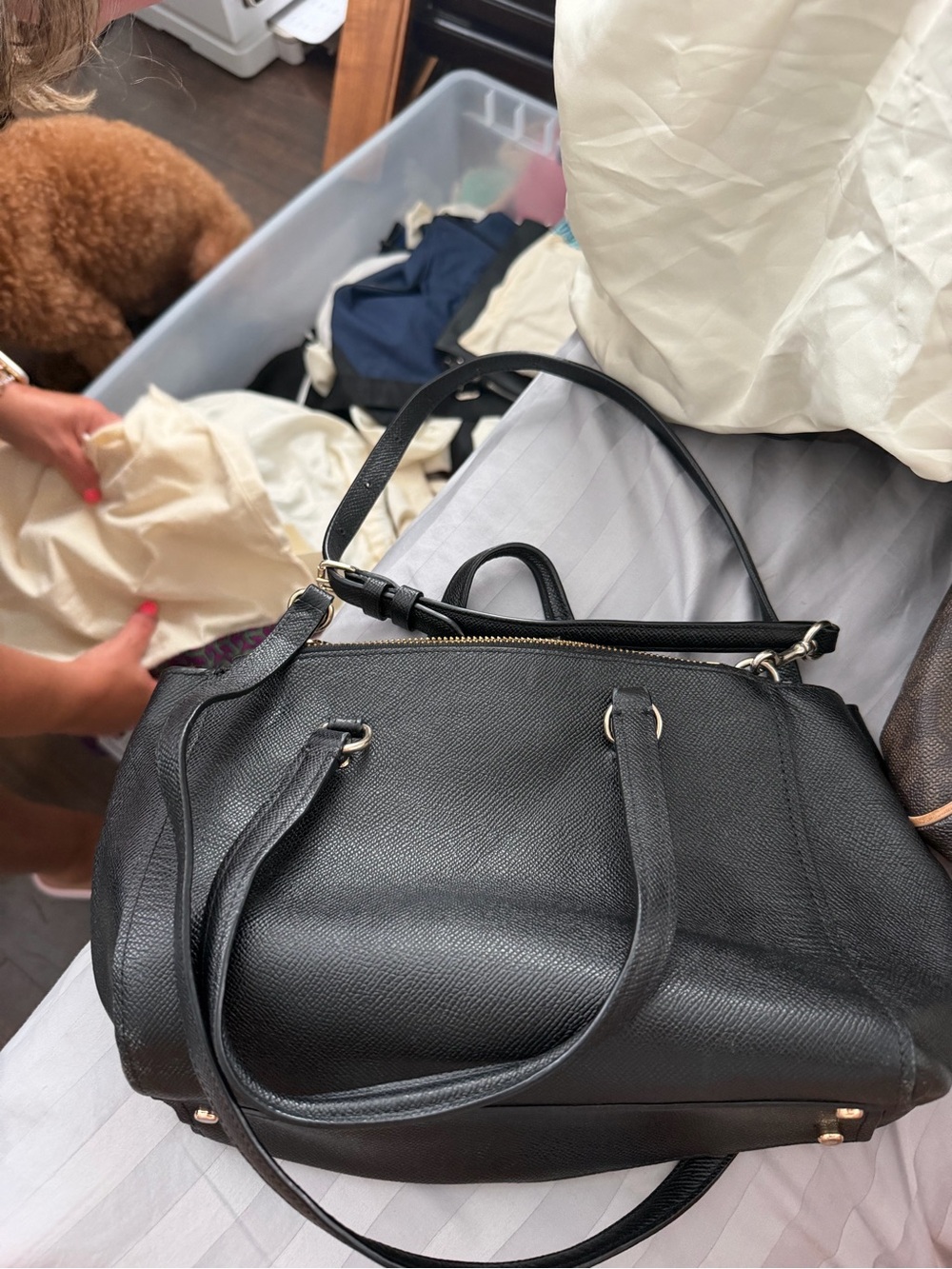 Coach Black Leather Shoulder Bag with Gold Hardware - Picture 3 of 3